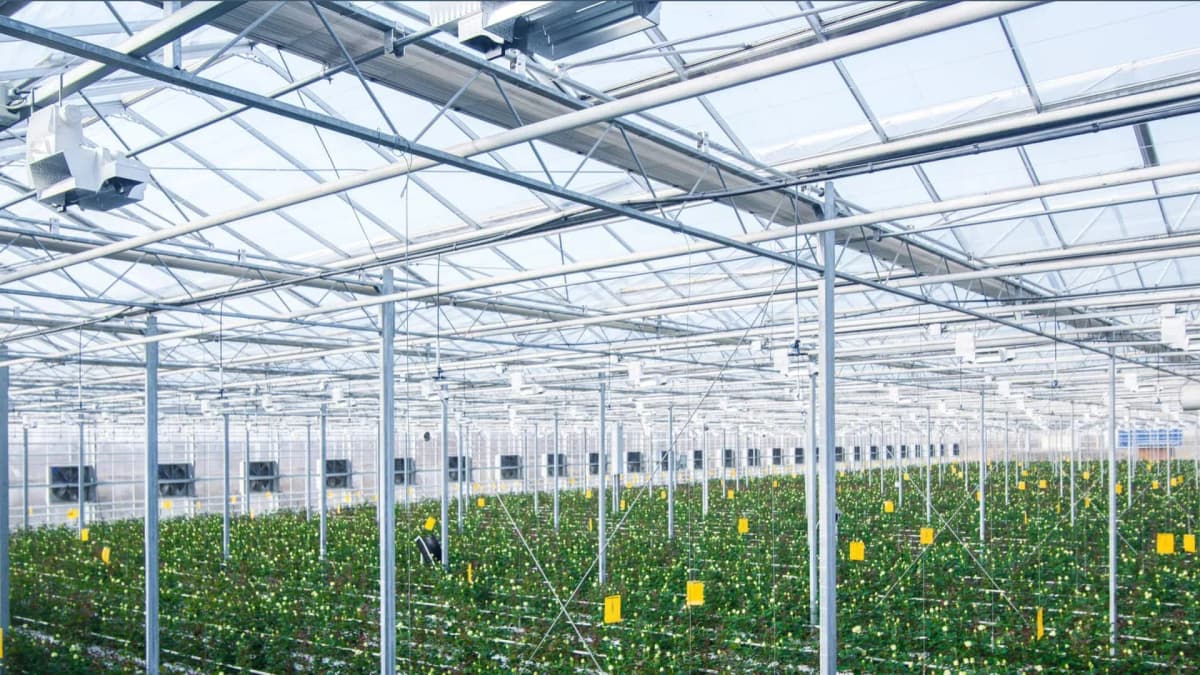 Greenhouse with grow lights and fans, loads that submetering measures separately